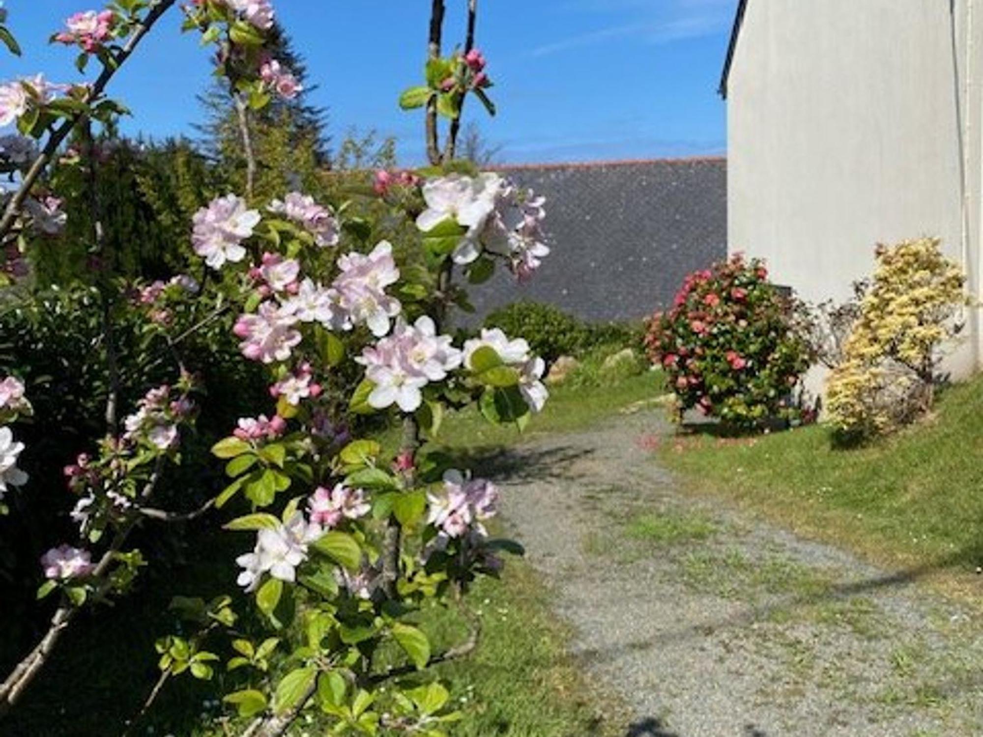 Maison 3 Chambres Avec Jardin, Vue Mer, Proche Plages Cote De Granit Rose - Fr-1-542-64 Perros-Guirec Exterior photo